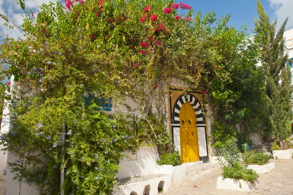 Sidi bou powiedział — Zdjęcie stockowe