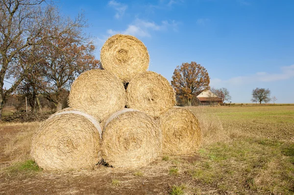 짚으로 bales 피라미드 — 스톡 사진