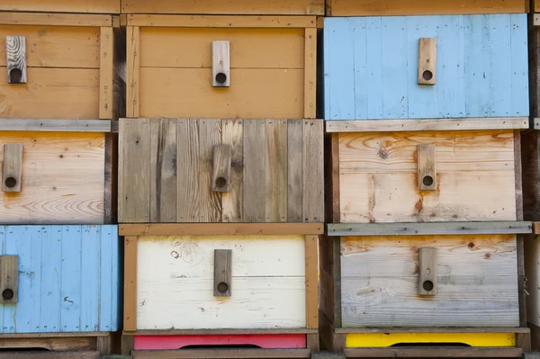 Nueva casa de abejas —  Fotos de Stock