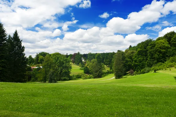 Meadow — Stock Photo, Image