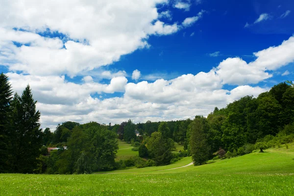 Pradera — Foto de Stock