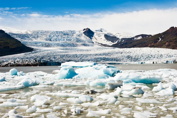 Fjallsarlon — Foto de Stock