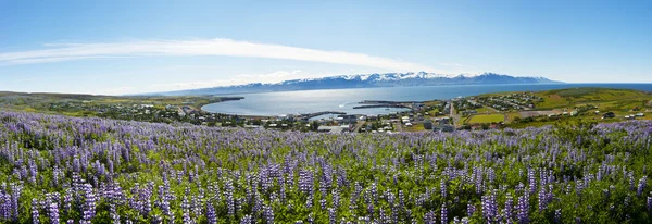 Husavik — Stock fotografie