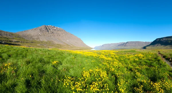 Západní fjordy — Stock fotografie