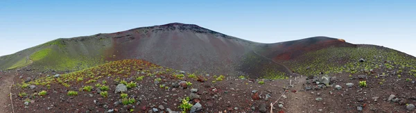 Sluttningen av berget fuji — Stockfoto