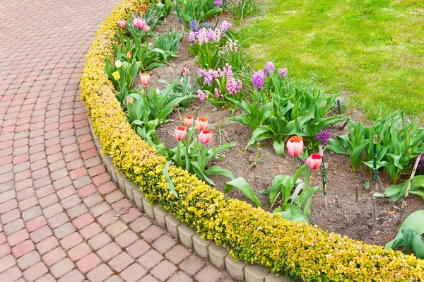 Jardín ornamental — Foto de Stock