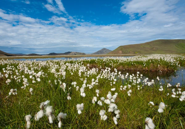 Landmannalaugar — Zdjęcie stockowe