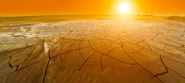 Droogte — Stockfoto