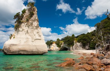 Coromandel