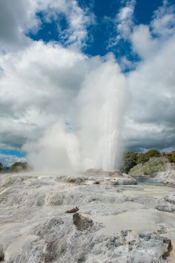 Pohutu ve Galler Prensi geysers