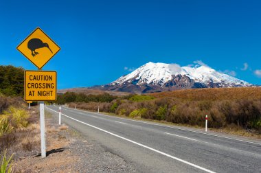 kivi ve mount ruapehu