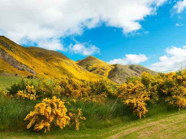 Mountains of New Zealand — Stock Photo, Image