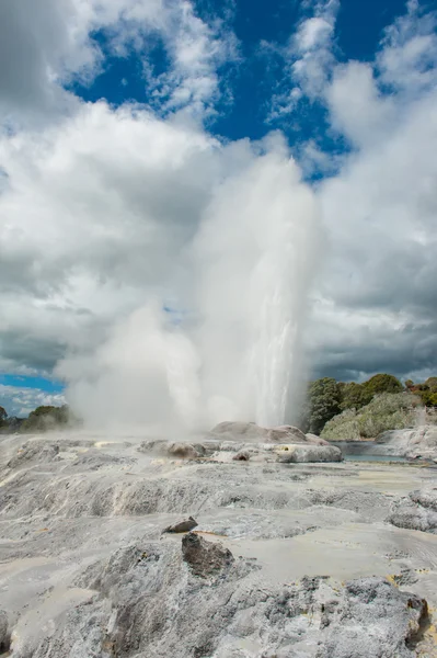 Geyser Pohutu e Principe di Galles — Foto Stock