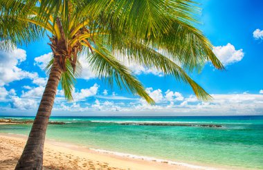 Barbados