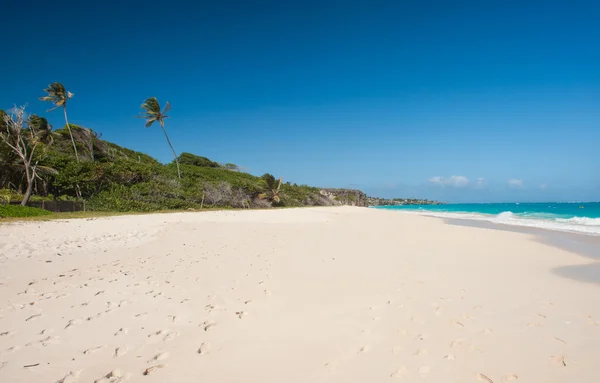 Spiaggia della gru — Foto Stock