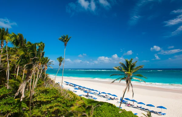 Playa grúa — Foto de Stock