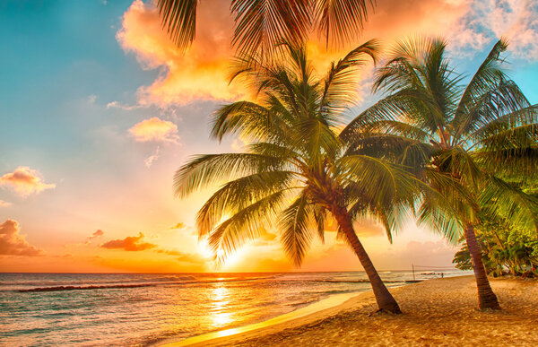 Barbados — Stock Photo, Image