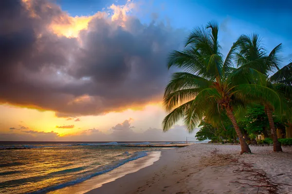 Barbados — Fotografia de Stock