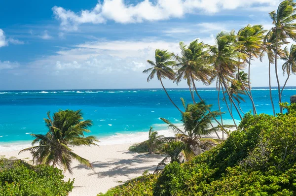 Baia di fondo — Foto Stock