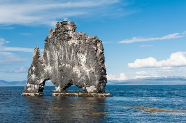 Hvitserkur