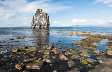 Hvitserkur