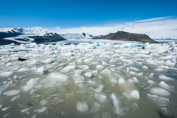 Fjallsarlon — Stockfoto