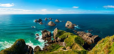 Nugget Point clipart