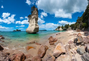 Coromandel