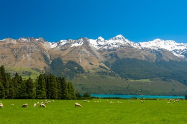 New Zealand mountains clipart