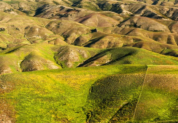 Hills of New Zealand — Stock Photo, Image
