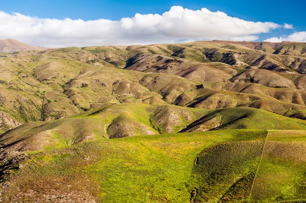Heuvels van Nieuw-Zeeland — Stockfoto