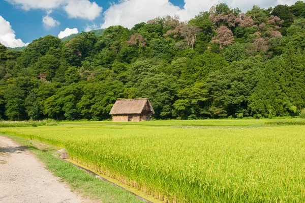 Ogimachi Dorf — Stockfoto