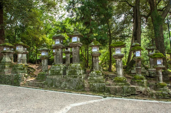 Lanternes en Nara — Photo