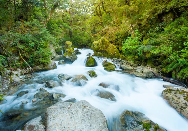 Marian Creek — Stock fotografie