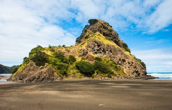 Lion rock — Zdjęcie stockowe