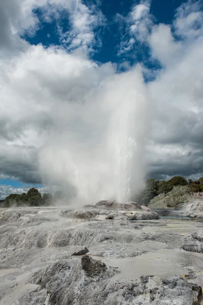 Géiseres de Pohutu y Príncipe de Gales — Foto de Stock