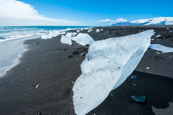 Spiaggia con iceberg — Foto Stock