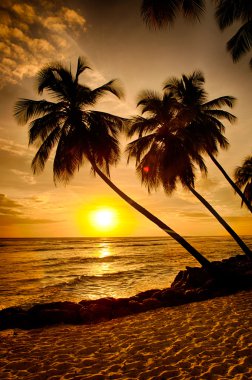 Barbados