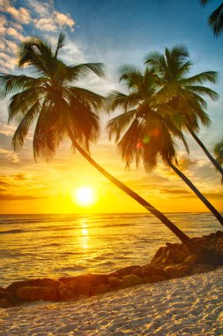 Barbados