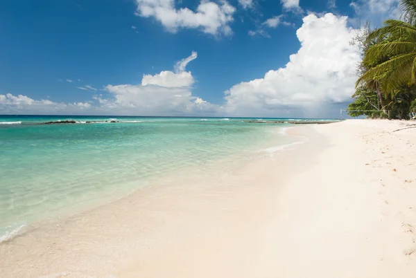 Barbados Ordförande — Stockfoto