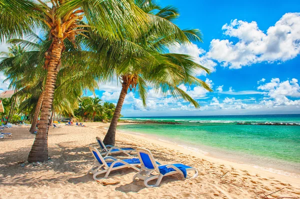 Barbados — Zdjęcie stockowe