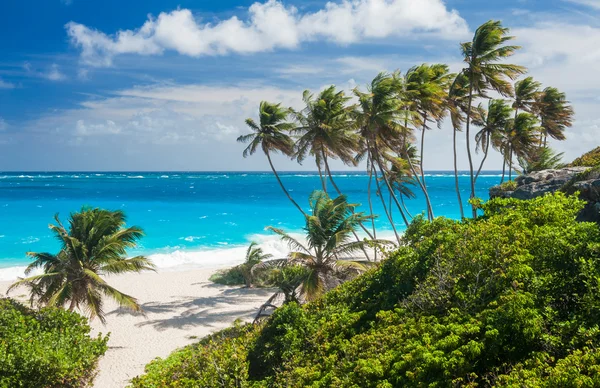 Onderste bay — Stockfoto