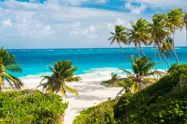 Baia di fondo — Foto Stock