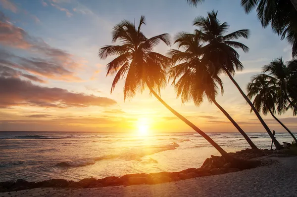 Barbados — Stockfoto