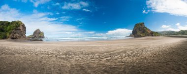Piha Beach