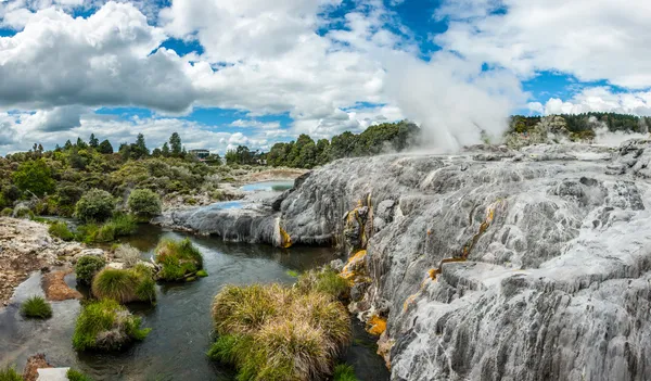 Geyser Pohutu e Principe di Galles — Foto Stock