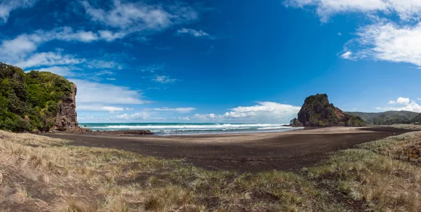 Piha plaża — Zdjęcie stockowe