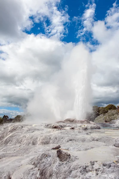 Pohutu ve Galler Prensi geysers — Stok fotoğraf