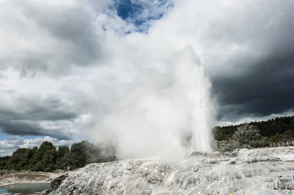 Pohutu ve Galler Prensi geysers — Stok fotoğraf