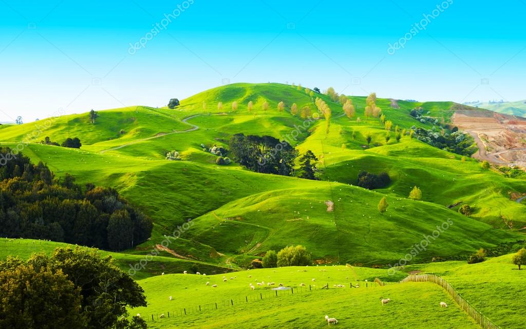 Hills of the New Zealand — Stock Photo © fyletto #49449427